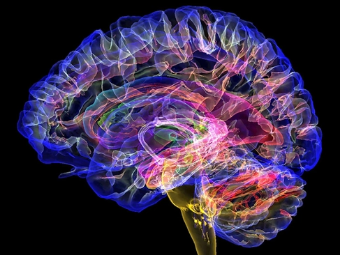 日屄在线大脑植入物有助于严重头部损伤恢复